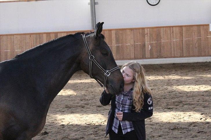 Anden særlig race Platinico - Tidl. PASSER - Taget af: Amalie Jeberg billede 10