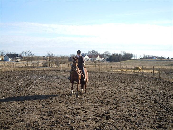 Anden særlig race Branco.  billede 16
