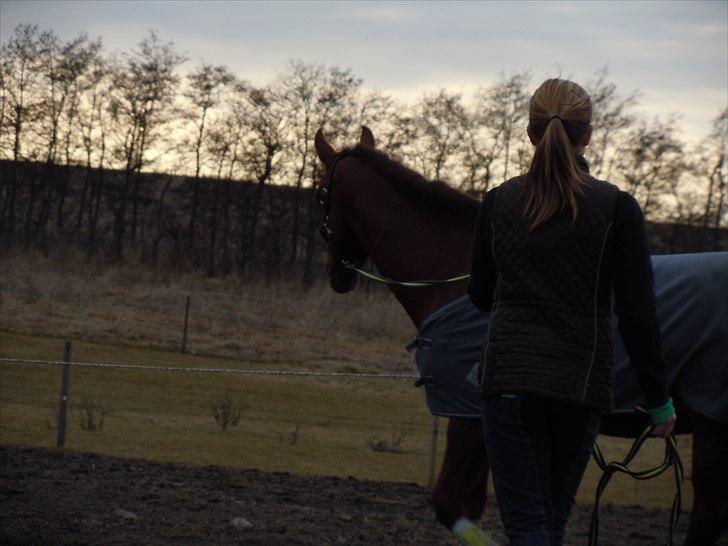 Anden særlig race Branco.  billede 17