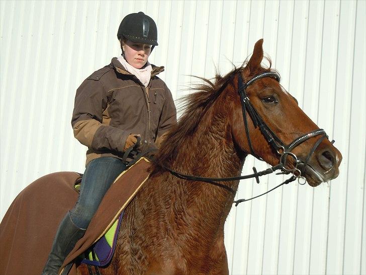 Anden særlig race Branco.  - det var efter en tur. og han er lidt vild på tur så stolde ik på han der for har han tre ring`s bid på :) billede 18