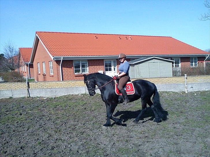 Frieser Wijtske HD billede 3