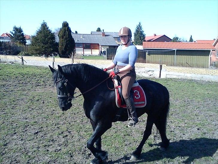 Frieser Wijtske HD billede 4