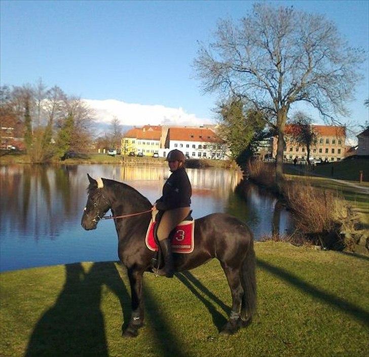 Frieser Wijtske HD billede 7