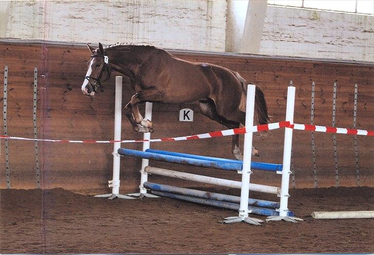 Frederiksborg Thor billede 2