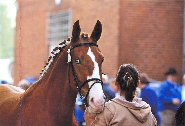 Frederiksborg Thor billede 3