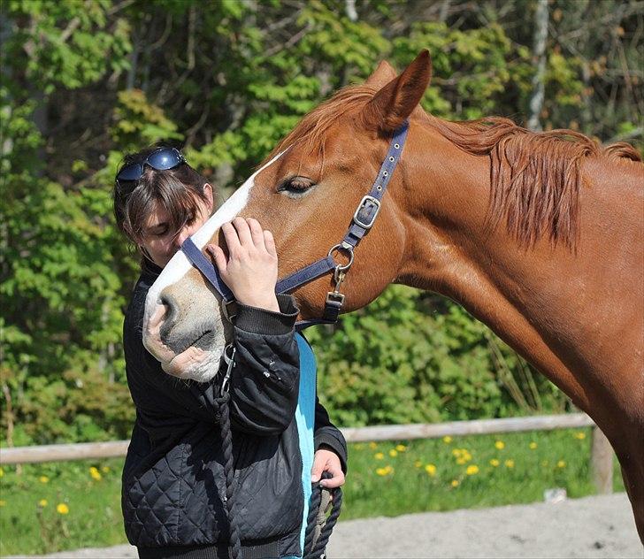 Frederiksborg Thor billede 6