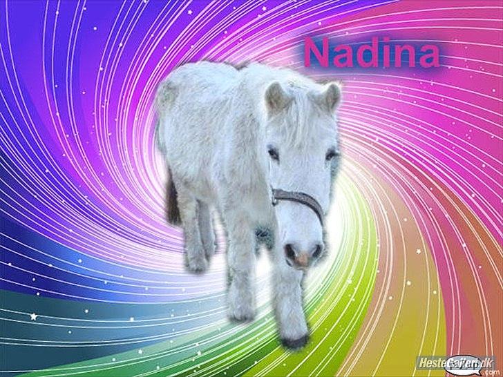 Camargue  Nadina billede 11