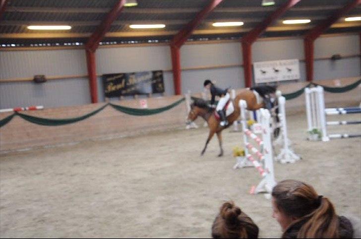 Anden særlig race zarahby <3 - bagparten fejler ikke noget!! :D første la :-) billede 18