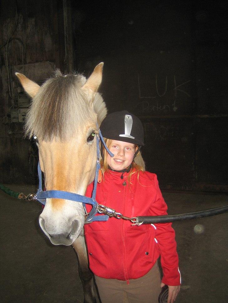 Fjordhest Cloe  - sammen 4-ever billede 6