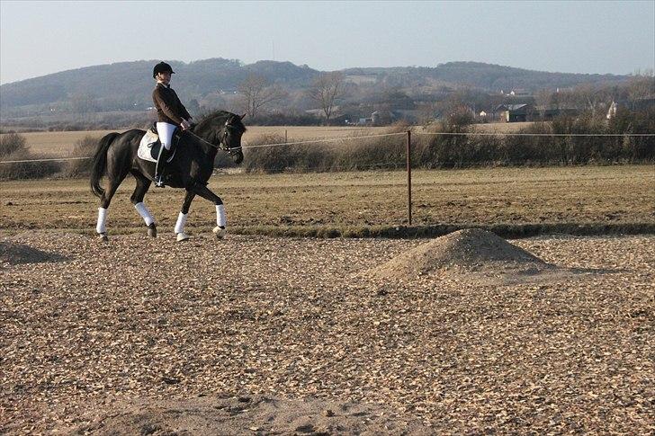 Anden særlig race Miss Money Penny (Sorte) - 5. gang jeg rider hende  billede 7