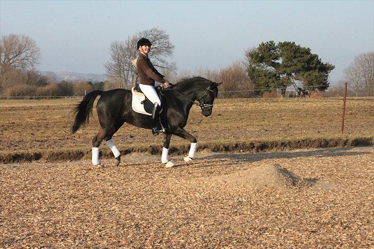 Anden særlig race Miss Money Penny (Sorte) - 5. gang jeg rider hende  billede 9