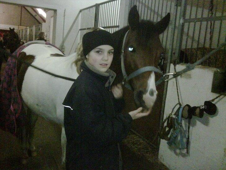 Anden særlig race Pretty<'3 - SOLGT billede 13