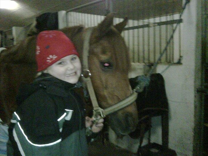 DSP Friis Attila billede 11