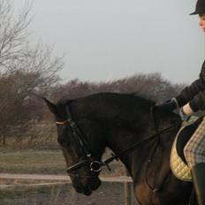 Anden særlig race Maze