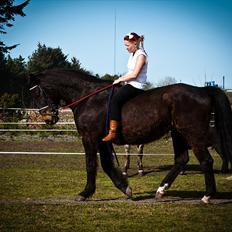 Oldenborg beauty