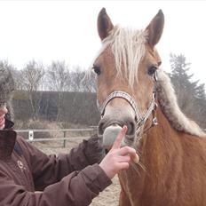 Anden særlig race  Smilla <3:i