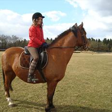 Anden særlig race Lucky<3