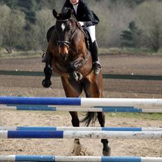 Anden særlig race Spangbogaards Felix [Redet]