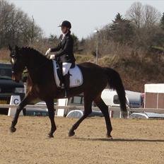 Anden særlig race Spangbogaards Felix [Redet]