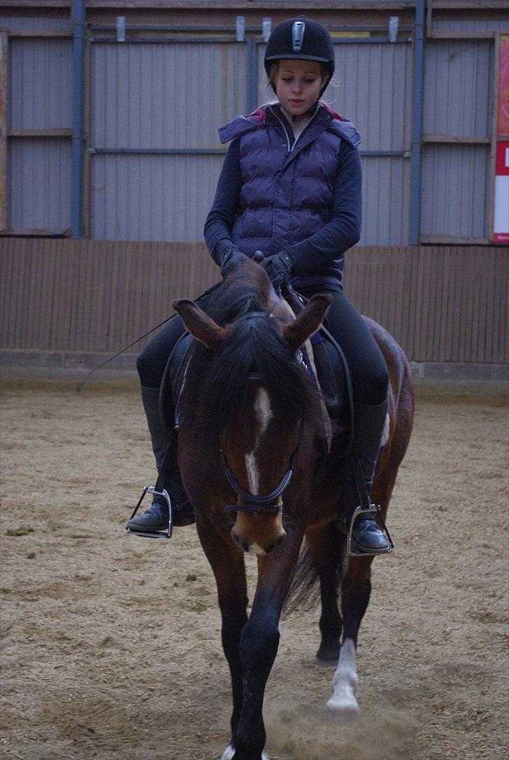 Anden særlig race Basil - Træning d. 12-04-2011 billede 9