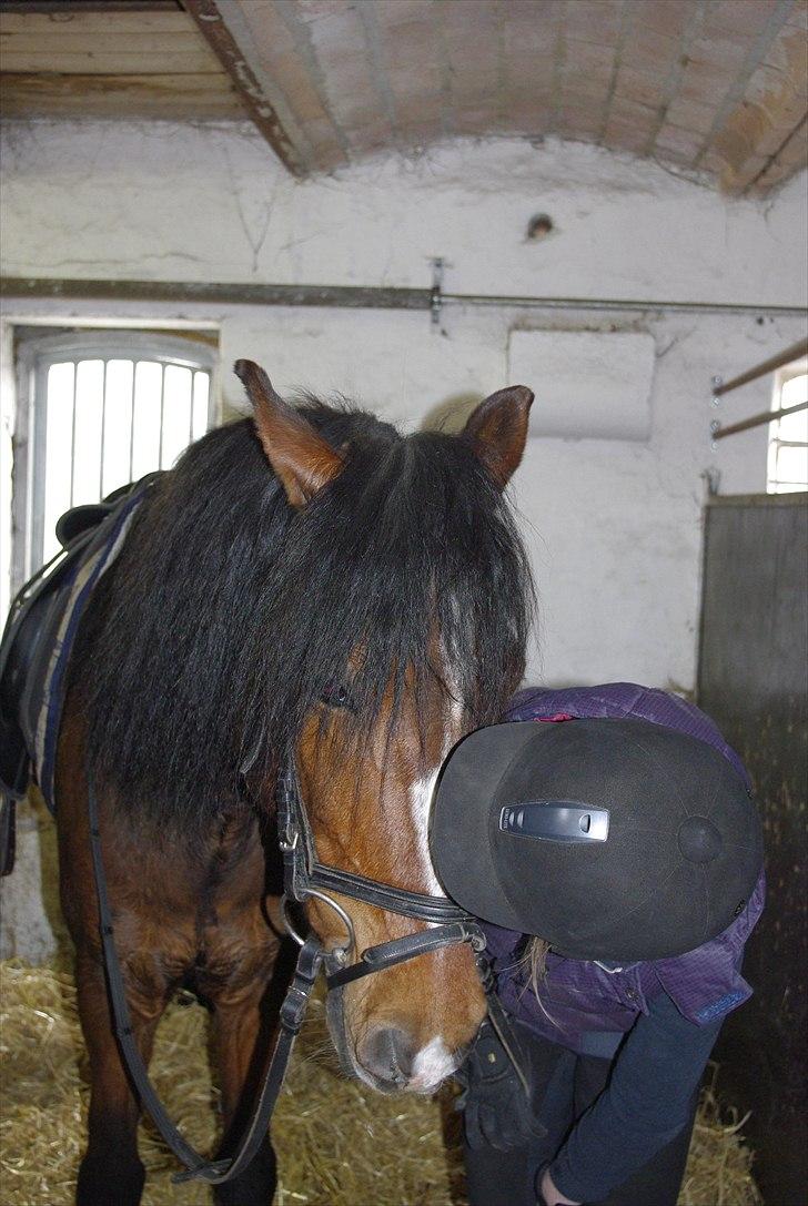 Anden særlig race Basil - Træning d. 12-04-2011 billede 15