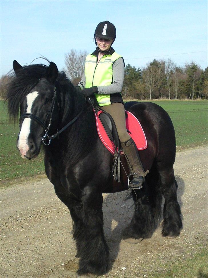 Jyde Jeppe (avl) billede 11