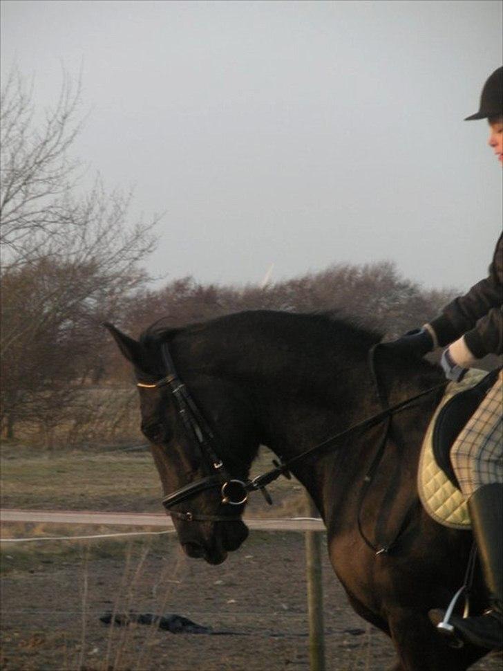 Anden særlig race Maze billede 2