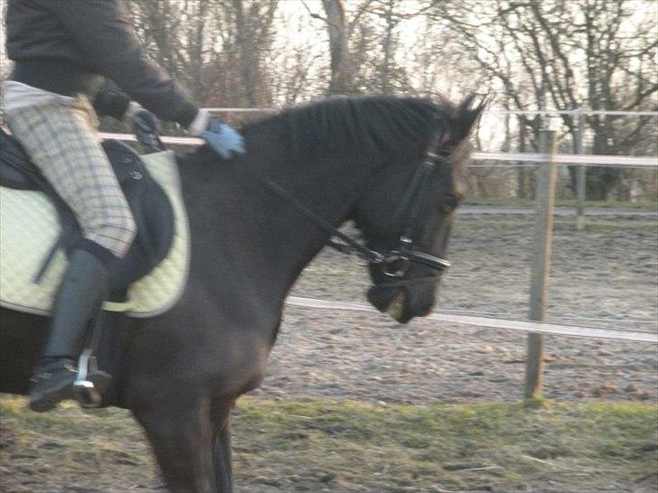 Anden særlig race Maze billede 3