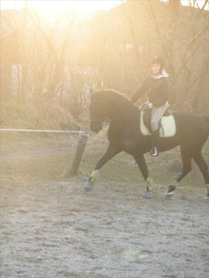 Anden særlig race Maze billede 4