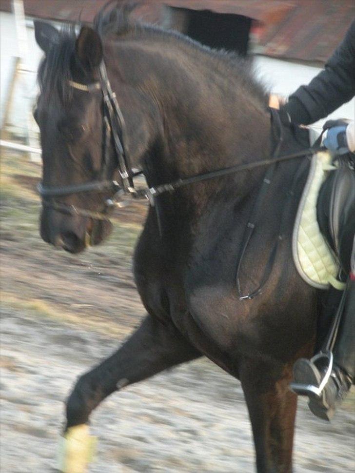 Anden særlig race Maze billede 5