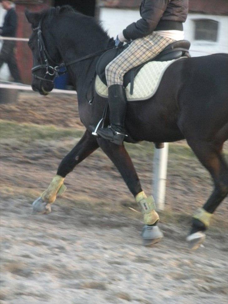 Anden særlig race Maze billede 9