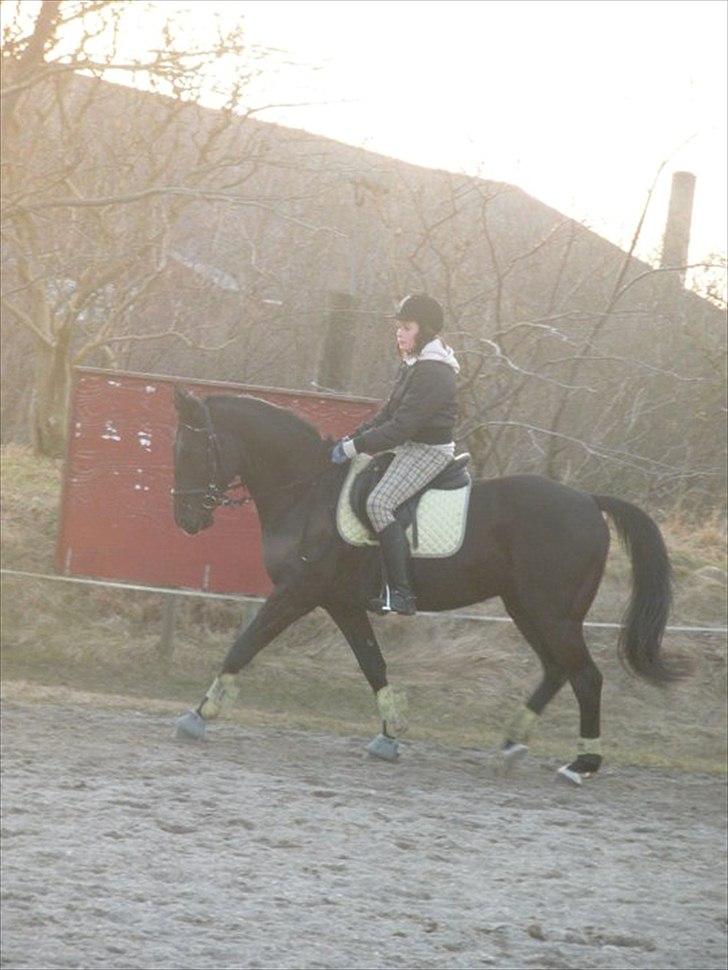 Anden særlig race Maze billede 10