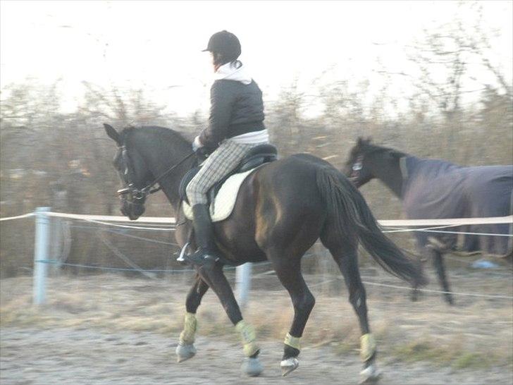 Anden særlig race Maze billede 11