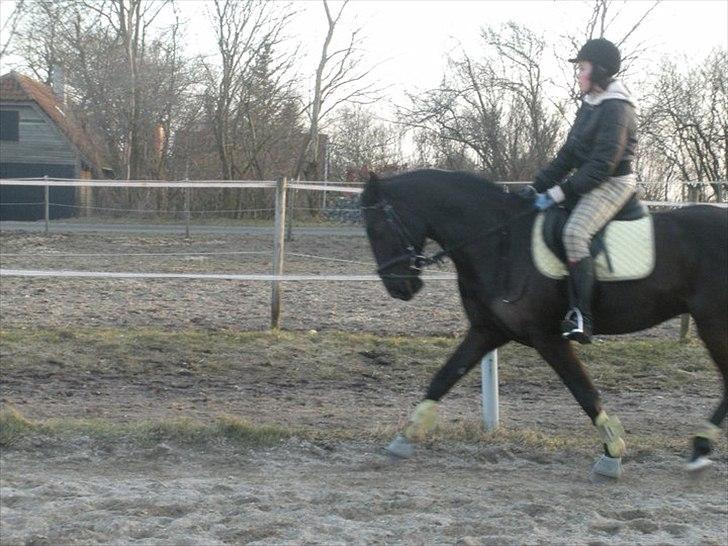 Anden særlig race Maze billede 12