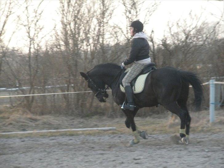 Anden særlig race Maze billede 13