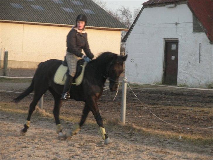 Anden særlig race Maze billede 15