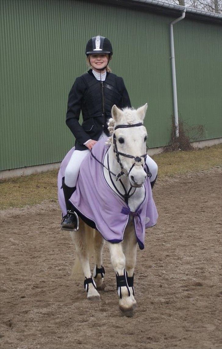 Anden særlig race Tøsen billede 17