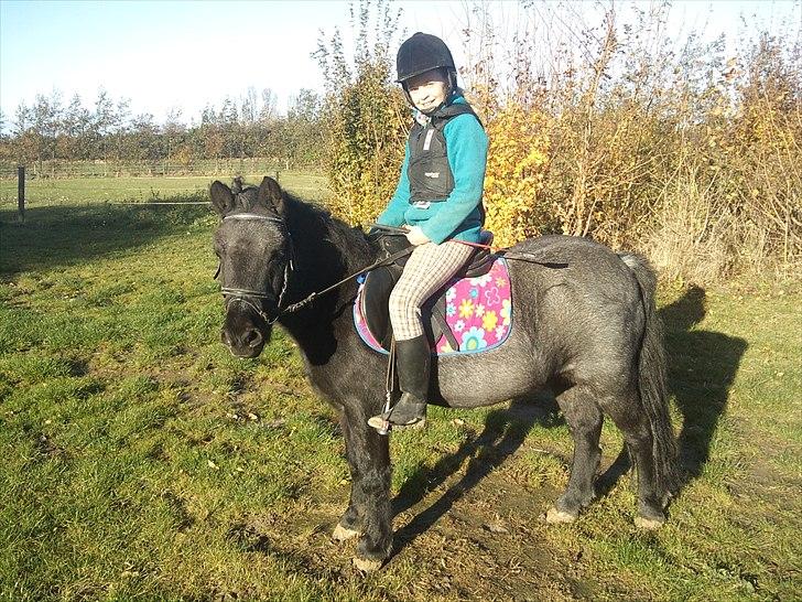 Anden særlig race JOKER! <3 billede 1