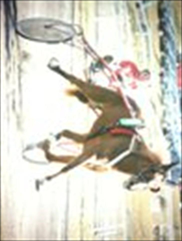 Traver Olympia Hanover billede 7