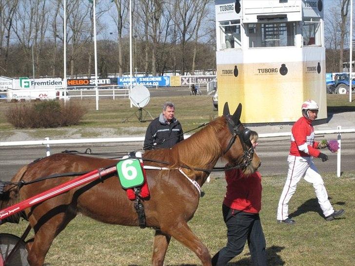 Traver Olympia Hanover billede 9