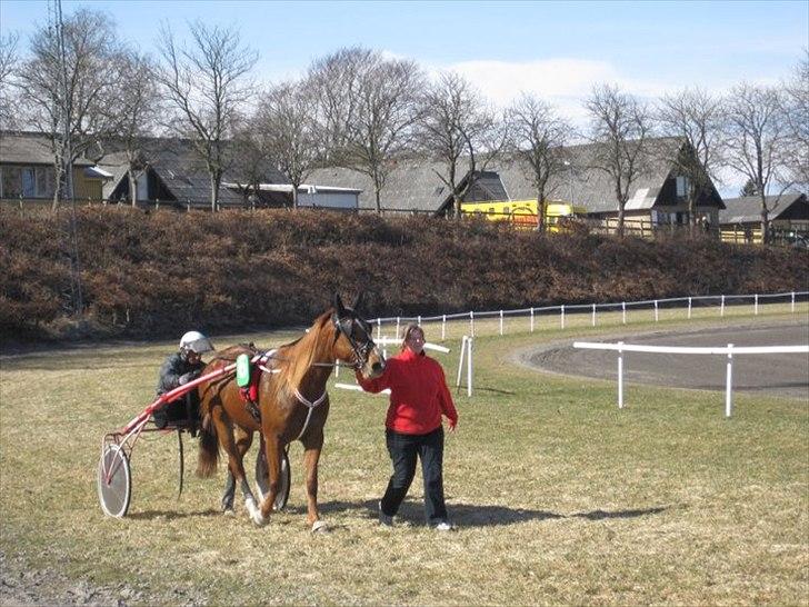 Traver Olympia Hanover billede 10