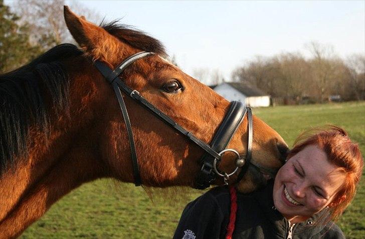 Dansk Varmblod Crazy Phantom - for evigt elsket <3 - baby er et nysse hovede .....  billede 16