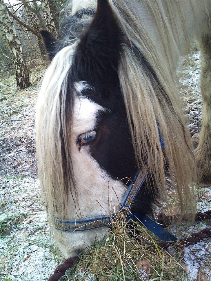 Tinker Disney - min bedste ven [Solgt] billede 5