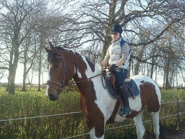 Anden særlig race Mercedes - Stor pige hehe billede 7