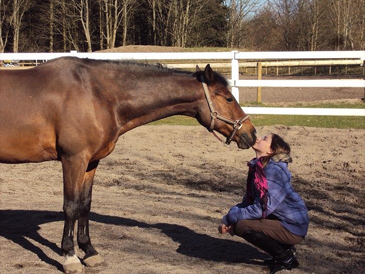Anden særlig race Apollon - 8 billede 8