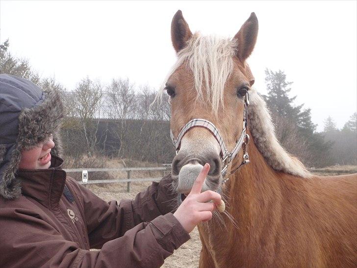 Anden særlig race  Smilla <3:i billede 3