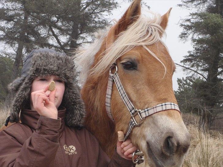 Anden særlig race  Smilla <3:i billede 4