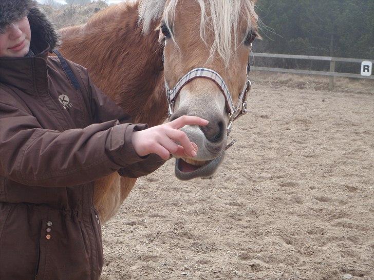 Anden særlig race  Smilla <3:i billede 8