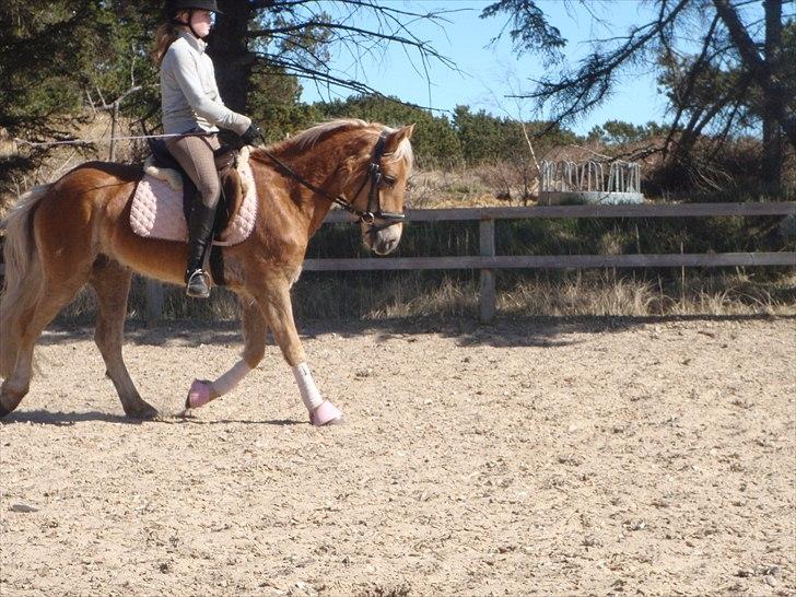 Anden særlig race  Smilla <3:i billede 9