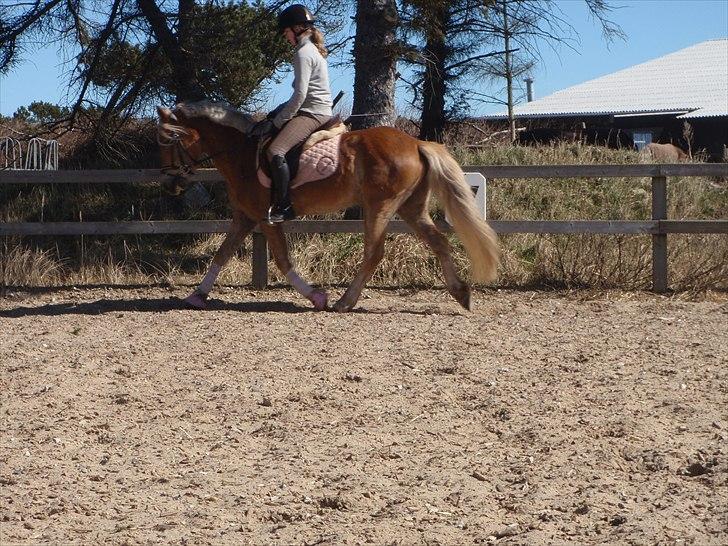 Anden særlig race  Smilla <3:i billede 11